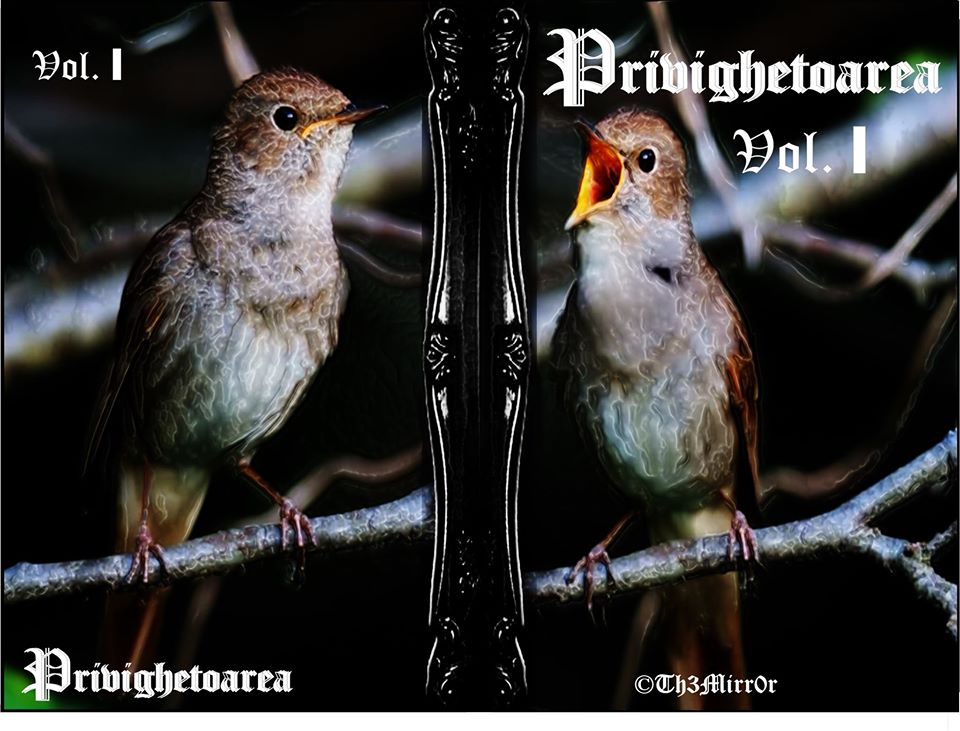 PRIVIGHETOAREA – Vol. I – PROLOG – V